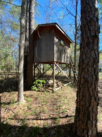 a small wooden cabin in the woods